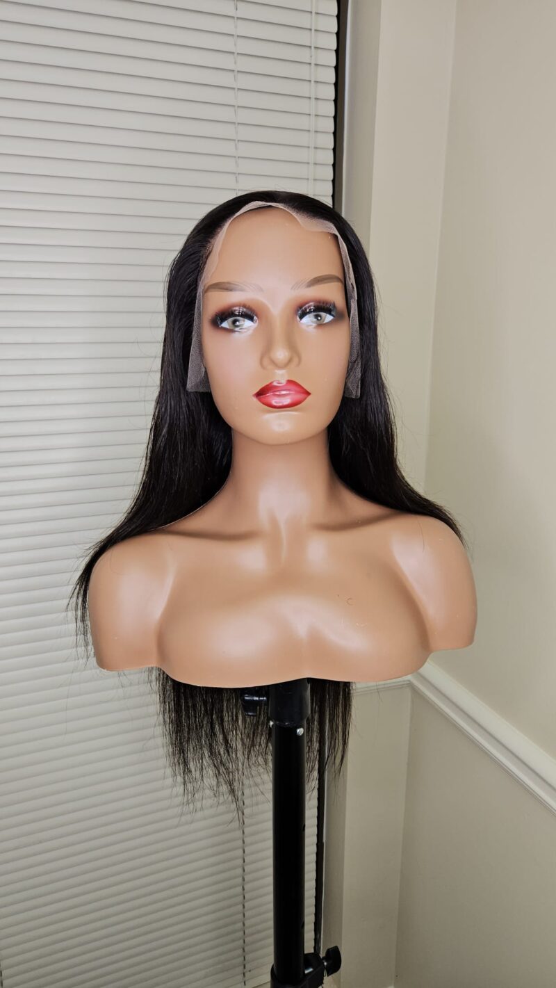 Brazilian 13x6 Straight Wig